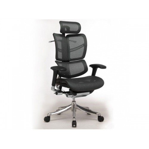 Ортопедическое офисное кресло Expert Fly FL-01