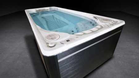 Бассейн с противотоком Hydropool Executive Trainer 19EX